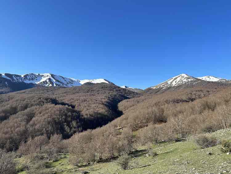 Faggeta Vetusta Moricento, one of Europe’s oldest beech forests in April.